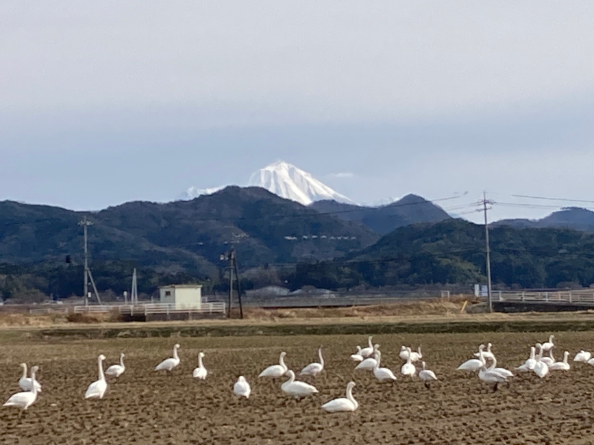 写真31