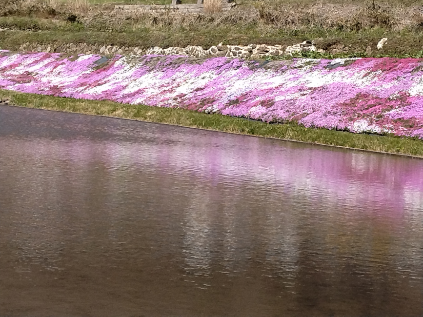 写真5