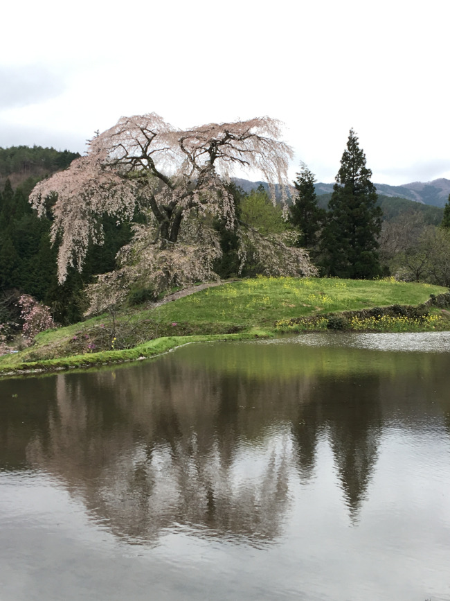 写真4