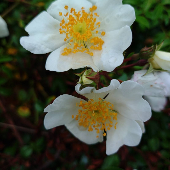写真27