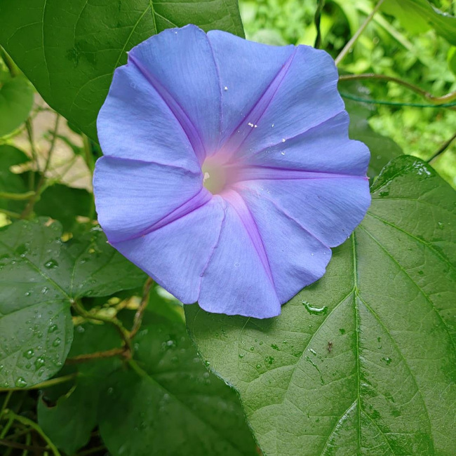 写真28