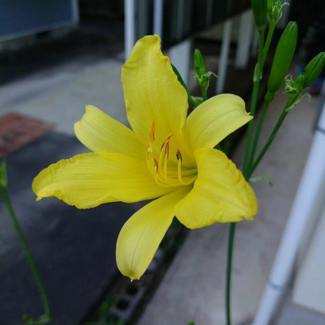 写真31