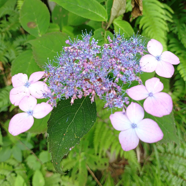 写真35