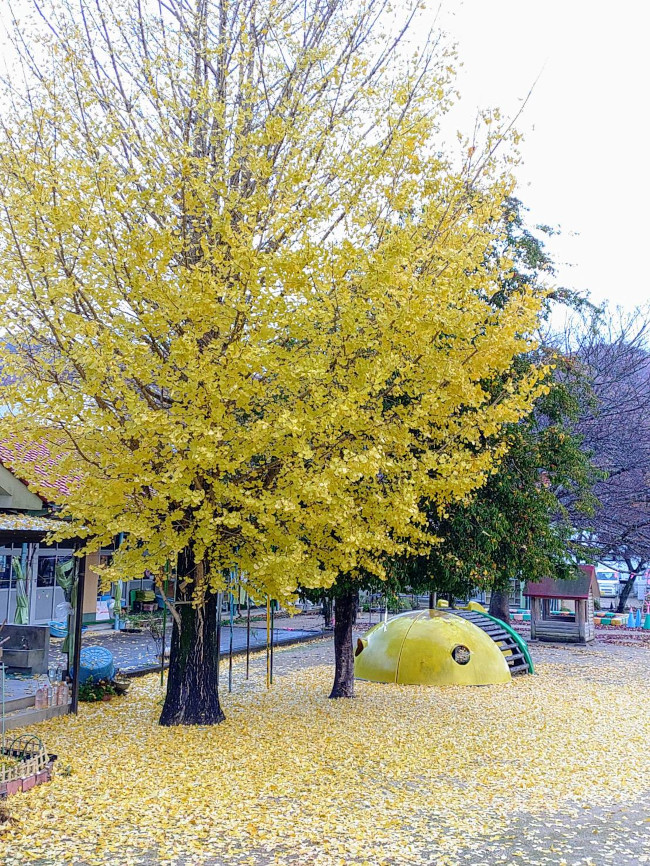 写真75