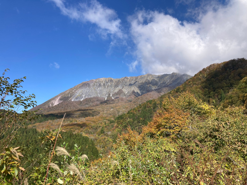 写真12