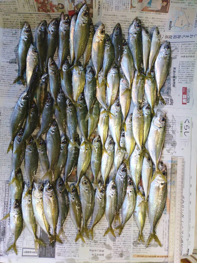 写真19